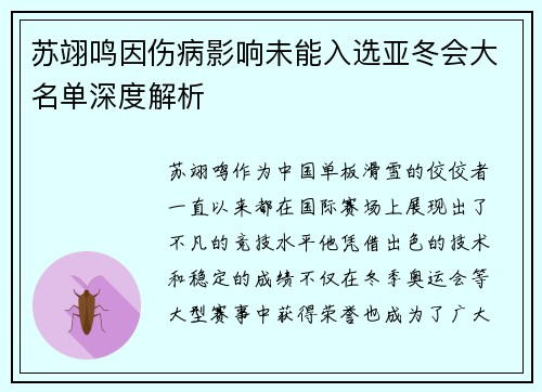 苏翊鸣因伤病影响未能入选亚冬会大名单深度解析